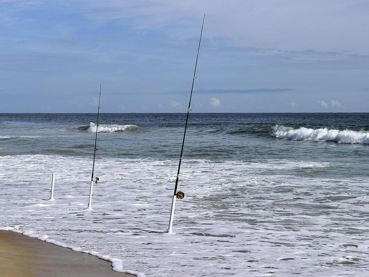 Grand Reserve Reels